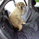 Auto beschermhoes