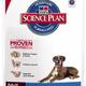 Hill's science plan canine adult oral care kip