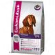 Eukanuba Breed Dachshund Eukanuba Breed Dachshund