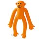 Oranje Aap
