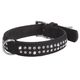 Buffelleren Hondenhalsband Buffalo Strass