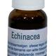 Dierendrogist echinacea