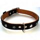 Heim leren halsband Stars Heim leren halsband Stars