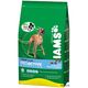 Iams Adult Iams Adult