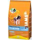 Iams Puppy & Junior Iams Puppy & Junior