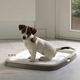Savic Puppy Trainer starter set