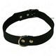 Heim Lederhalsband met klinknagels,