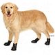 Karlie Xtreme Boots