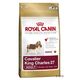 Royal Canin Breed Cavalier King Charles Royal Canin Breed Cavalier King Charles