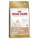 Royal Canin Breed Labrador Retriever