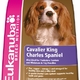 Eukanuba dog cavalier king charles spaniel