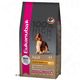 Eukanuba Adult lam & rijst