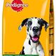 Pedigree Complete Adult Maxi met rund Hondenwinkel productvergelkijking Pedigree Complete Adult Maxi met rund