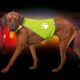 Veiligheidsvest Safety-Dog