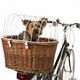 Fietsmand met beschermingshek