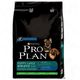 Pro plan puppy