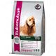 Eukanuba Breed Cocker Spaniel Eukanuba Breed Cocker Spaniel