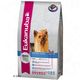 Eukanuba Breed Yorkshire Terriër Eukanuba Breed Yorkshire Terriër