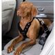 Hunter Easy Comfort veiligheidstuig voor in de auto