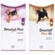 Drontal dog kliniekbox