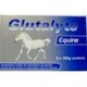 Glutalyte equine