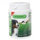 Primeval stressless hond