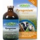 Ecostyle pyrogenium