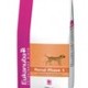 Eukanuba renal dog