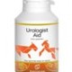 Urologist aid paard