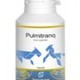 Pulmitranq paard Pulmitranq paard