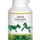 Geria comfort paard