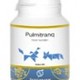 Pulmitranq hond Pulmitranq hond