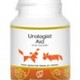 Urologist aid hond
