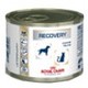 Royal canin recovery kuipjes