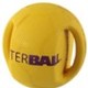 Interball