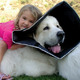 Hondenkap comfy cone