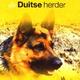 Over dieren de duitse herder
