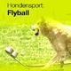 Over dieren hondensport flyball Over dieren hondensport flyball