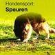 Over dieren hondensport speuren