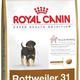 Royal canin rottweiler junior Royal canin rottweiler junior