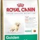 Royal canin golden retriever junior Royal canin golden retriever junior