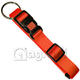 Halsband miami Halsband miami