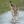 honden page profiel kim & mo