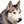 honden page profiel Chris en Co