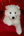 honden page profiel Hondenfan Mexx