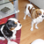 cindy en rozy