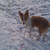 ze is heeeel gek op sneeuw