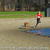Maaike met Storm