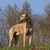 De galgo espanol
