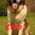 Cujo, 7 maand oud